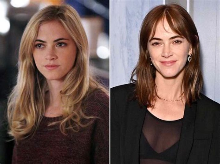 This Is What Led To Ellie Bishop's Divorce On NCIS