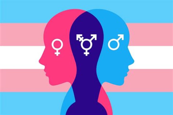 Trans Military Historian: Understanding The Intersection Of Gender Identity And Military History