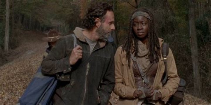 TWD Rick and Michonne