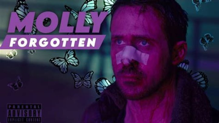 Unraveling The Mystery Molly Noblitt Arrested