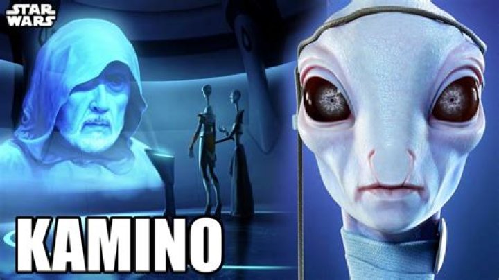 What Happens To The Kaminoans After Order 66 Is Executed In The Bad Batch?