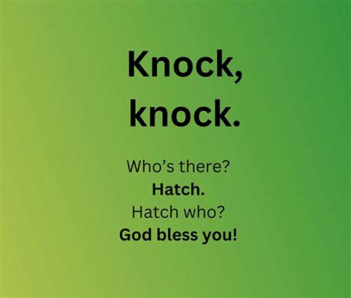 What You May Not Know About Knock Knock