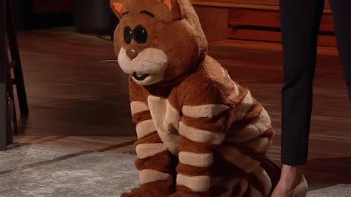 Whatever Happened To Basepaws After Shark Tank?