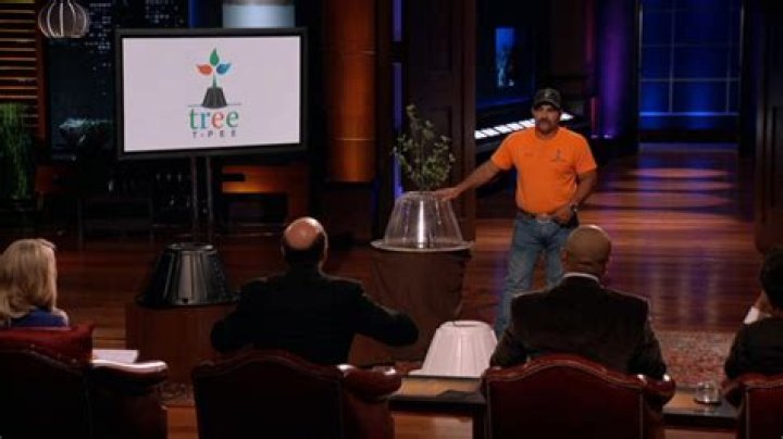 Whatever Happened To The Tree T-Pee From Shark Tank?