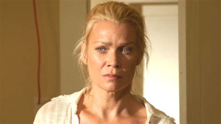 Why Andrea From The Walking Dead Looks So Familiar