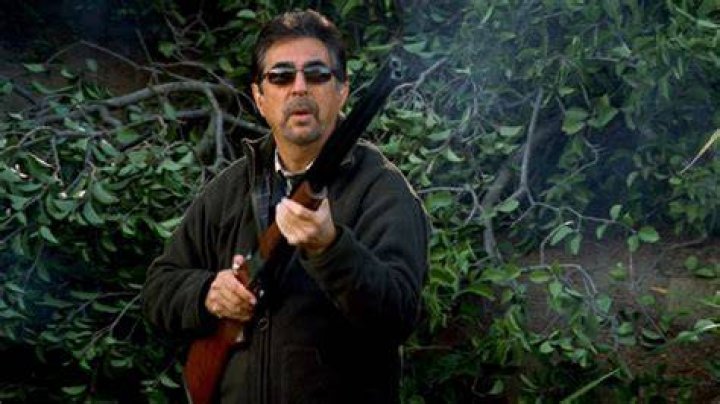 Why David Rossi's First Appearance In Criminal Minds Means More Than You Think